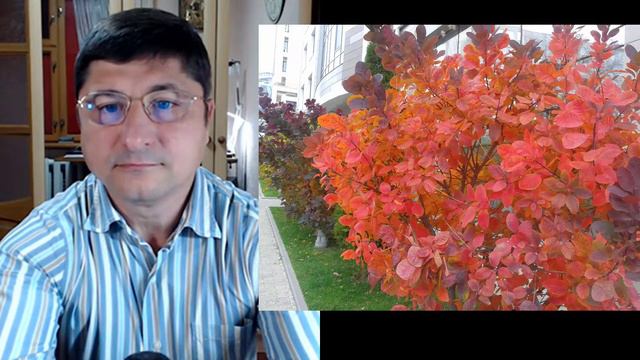 276 "Прелести" гражданского брака 30.10.21 смотреть онлайн