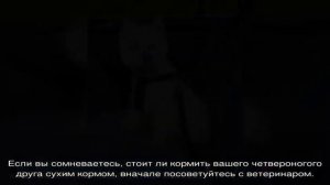 Нормы сухого корма для собак в день по весу: таблица