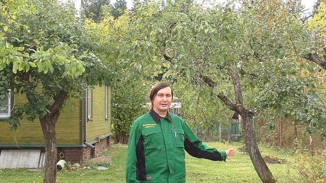 Уход за плодовым садом осенью смотреть онлайн