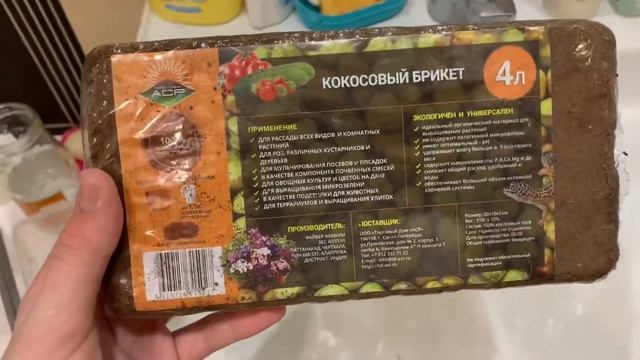 Собираем мох и палочки с лишайником✨/Лиза смотреть онлайн