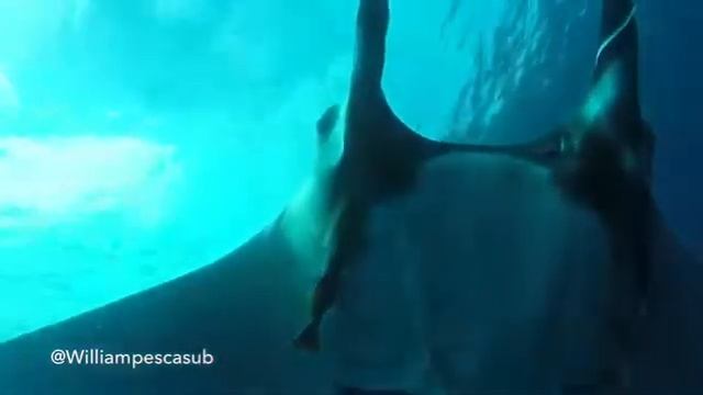 Maravillas de Ecuador смотреть онлайн