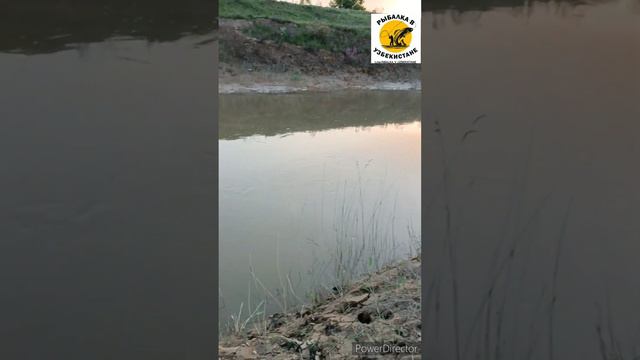БУ ТОКЧИ ВА ТУРЧИЛАР АЛЛОХНИ ЛАНАТИГА УЧРАСИН. ЛАЙК БОСИБ БОШКА КАНАЛАРГА ХАМ ТАРКАТВОРИЛАР смотреть онлайн