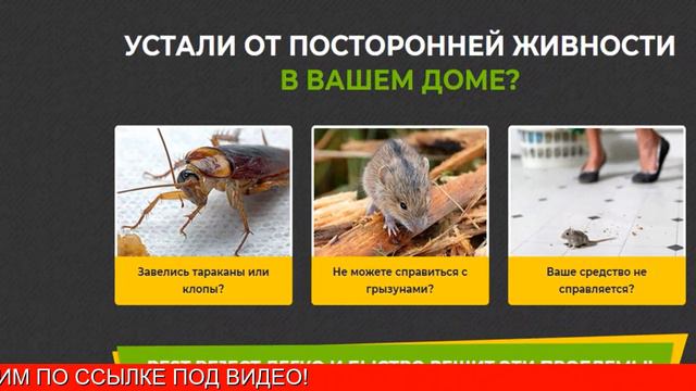 Pest Reject - отпугиватель тараканов, грызунов и насекомых смотреть онлайн