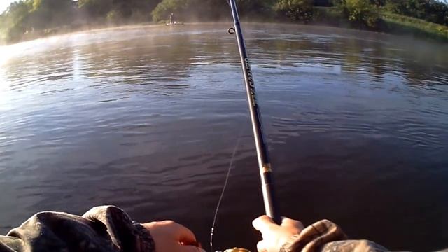 Ловля на траву на течении. Голавль и плотва. Река Дон. смотреть онлайн