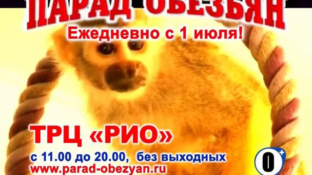 Обезьяны Курган 10 смотреть онлайн