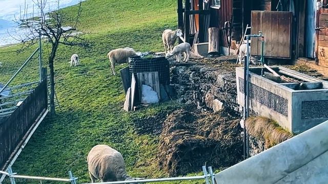 Grindelwald - The Village Of SUPERLATIVES - The Most Beautiful Villages Of Switzerland