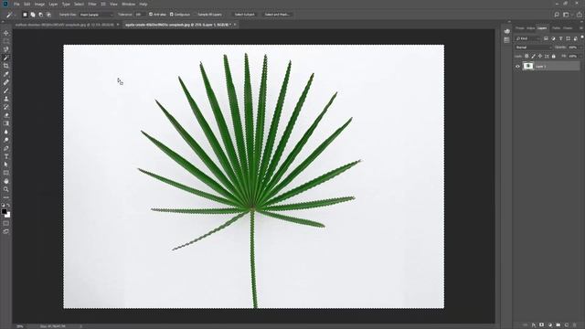 Lecture: 12 | Magic Wand Tool | magic tool | Adobe photoshop beginners tutarial | Urdu / Hindi смотреть онлайн