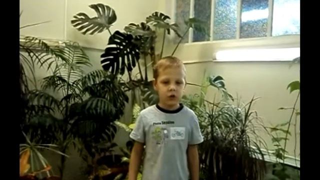 Безопасность глазами детей.flv смотреть онлайн
