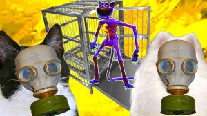 Поймали CATNAP! Схватили КОТА  ДРЁМУ в РЕАЛЬНОЙ жизни!