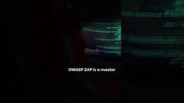 OWASP ZAP چیست و کاربردهای اصلیش смотреть онлайн
