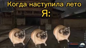 Мем про танцующий мопс🤣