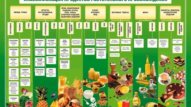 Пищевая и биологическая ценность продуктов растительного происхождения