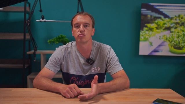 Универсальный спектр?! Как выбрать фитосвет для рассады и микрозелени?! смотреть онлайн