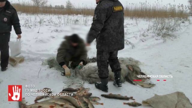 В Каслинском районе поймали 4 рыбаков, которые незаконно выловили рыбу смотреть онлайн
