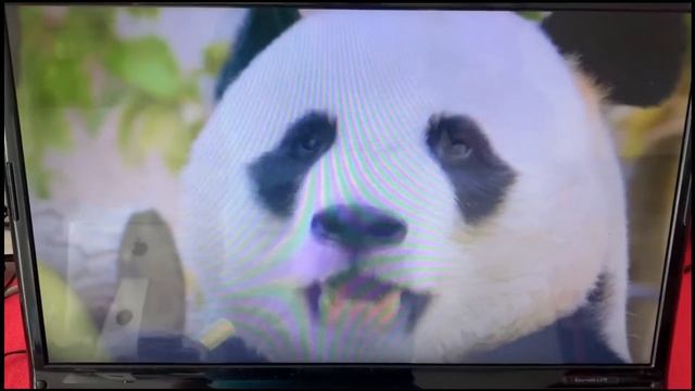 Packard Bell EasyNote LJ75 Test 2022