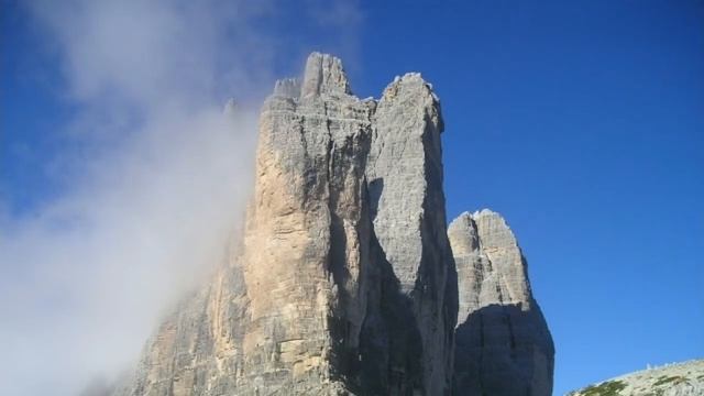 മരണം വിളിച്ചുവരുത്തുന്ന ചാട്ടം !! | The Deadly Jump Of Barnacle Goose Chicks | Malayalam | Branta смотреть онлайн