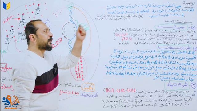 الفصل الخامس المحاضرة : 29 (ترجمة ال DNA لبناء البروتين)