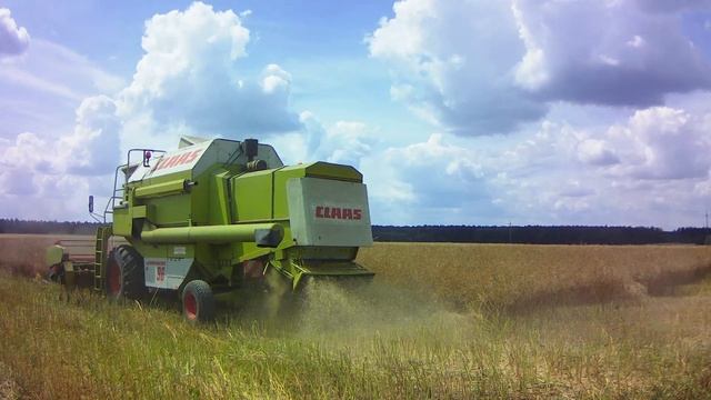 Żniwa 2019-Rzepak★ Claas Dominator 96★Fendt 818 VARIO TMS★Renault смотреть онлайн