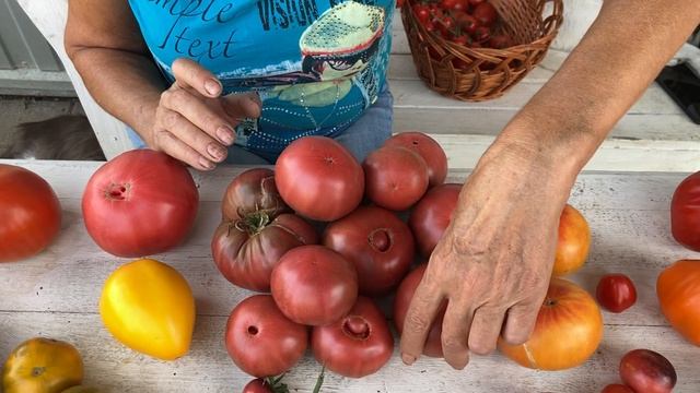 . Минусинские. Эти помидоры буду сажать всегда. Самые вкусные со всего мира . смотреть онлайн