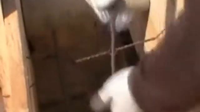 ленточный мелкозаглубленный фундамент своими руками смотреть онлайн