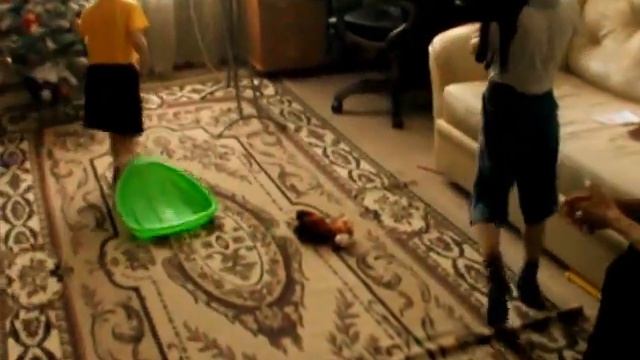 Ребёнок играет с котёнком смотреть онлайн