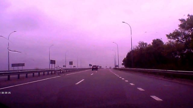 Косуля вибегла на дорогу смотреть всем!!! смотреть онлайн