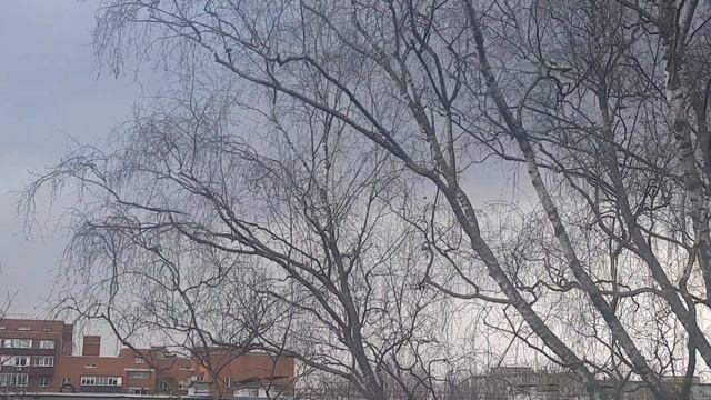 Молнии и Гром. Хорошие Грозы 22 Апреля 2021 смотреть онлайн