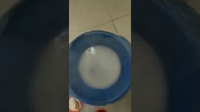 Прошок Mystik и кроссовки смотреть онлайн