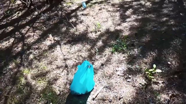 На грибном фронте) гриб Козляк смотреть онлайн