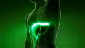 Настоящая матрица Гаряева П.П. для исцеления печени перед сном или во время сна