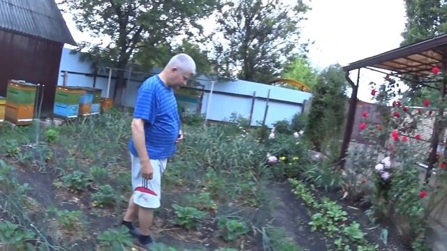 ЗАБОР СТАРЫЙ НА НОВЫЙ . смотреть онлайн