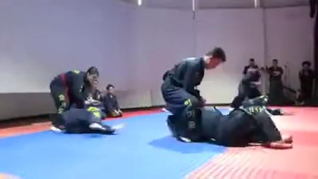 Hapkido CKA Colombia смотреть онлайн