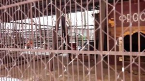 Bad Baby 24 Часа Челлендж - Дети Одни в Отеле - 24 Hour Fort Challenge Kids in Hotel