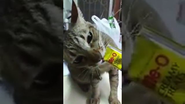 Me-O Кремовое лакомство для кошек смотреть онлайн