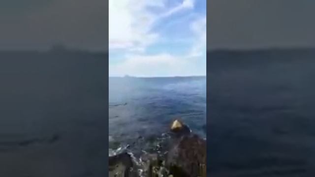 Море в Неаполе смотреть онлайн