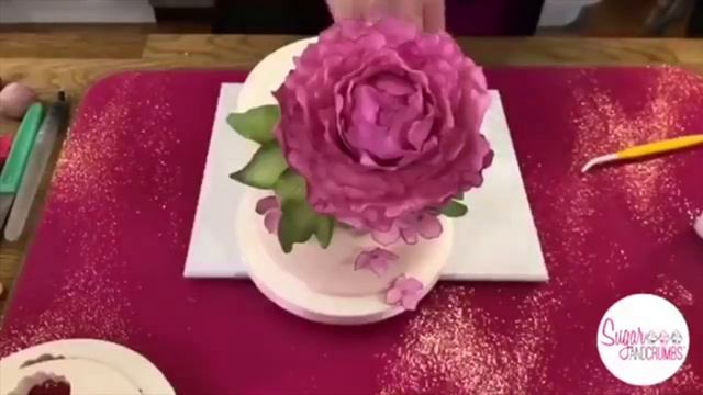 Natalie Porter - Rapid Roses and Perfect Peonies - FB Flashback 27/05/20 смотреть онлайн