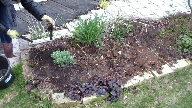 Май. Уход за цветниками! Рассказываю и ПОКАЗЫВАЮ. ЧАСТЬ 1. смотреть онлайн