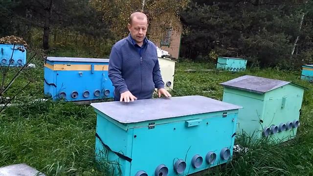 Классический вариант Владимирского улья лежака смотреть онлайн