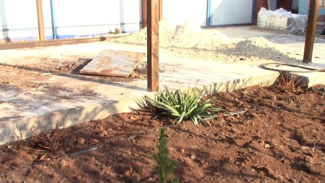 Посадка гортензии Самарская Лидия и другие смотреть онлайн