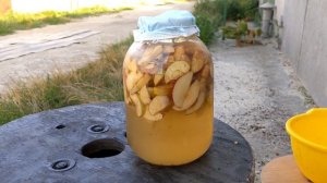 Приготовление яблочного уксуса. Игра молодого Таджикского голубя.