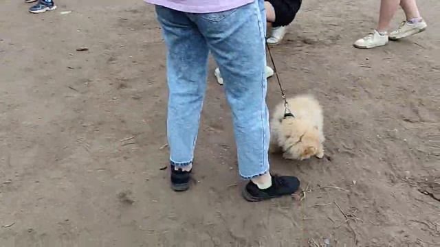 1 июня День защиты детей смотреть онлайн