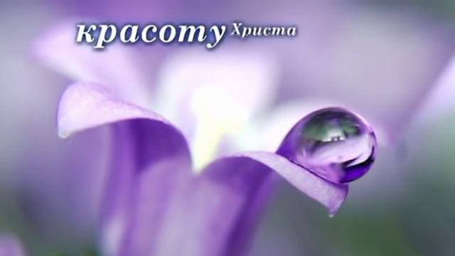 Красота Иисуса светись во мне - Песнь возрождения: № 652 смотреть онлайн
