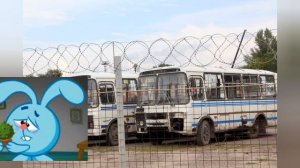 Воронежский автобус до и после