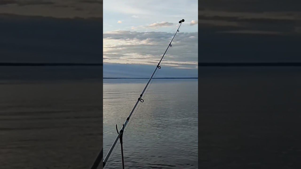 11 мая 2023 г. смотреть онлайн