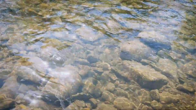 Ловля ТРОФЕЙНОЇ форелі в Карпатах. Рибалка на спінінг в гірських річках смотреть онлайн