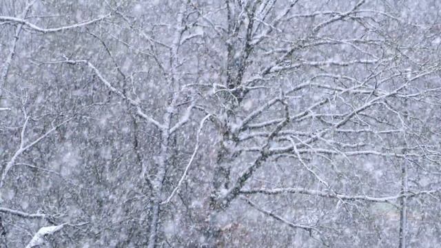 МУЗЫКА ДЛЯ СНА. Нежный и крепкий СОН, глубокий релакс и успокоение нервной системы. смотреть онлайн