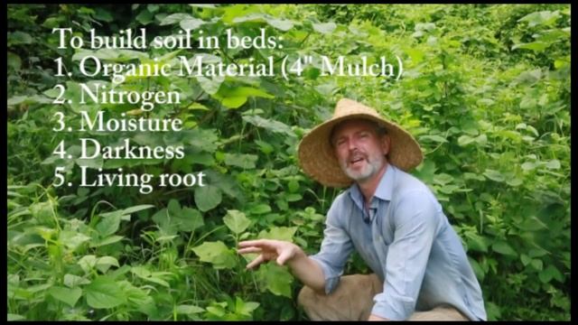 Fix Sandy Soil Using Weeds - John Kaisner The Natural Farmer смотреть онлайн
