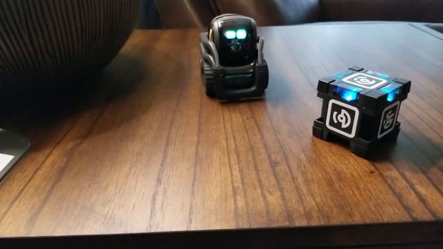 Anki Vector Robot Tips, Tricks, Cube And Attitude.
