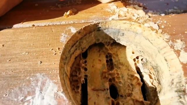 Японский улей, как проходит зимовка пчёл на сетчатом дне. смотреть онлайн