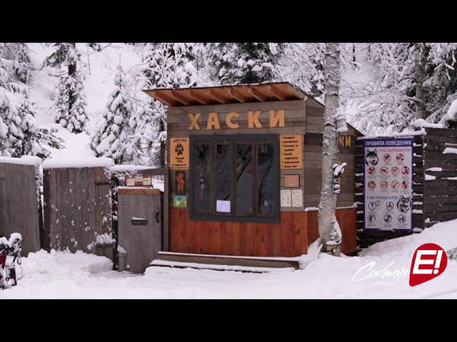 Хаски - парк на Секторе Е в Шерегеше смотреть онлайн